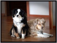 922973 555296954520909 1186803298 n