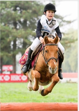 at least the pony is having fun