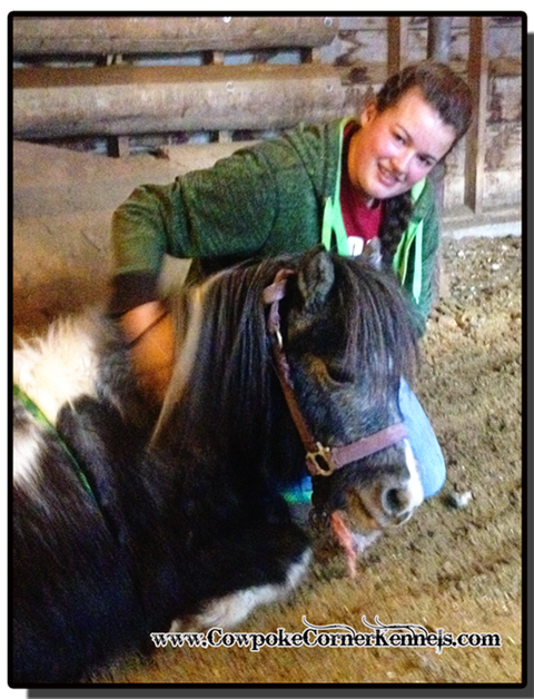 Billie-the-pony-whisperer 5930