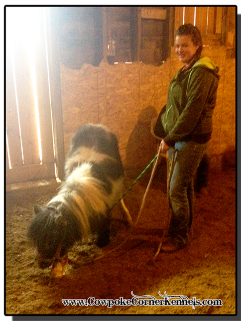 Billie-the-pony-Whisperer 5923