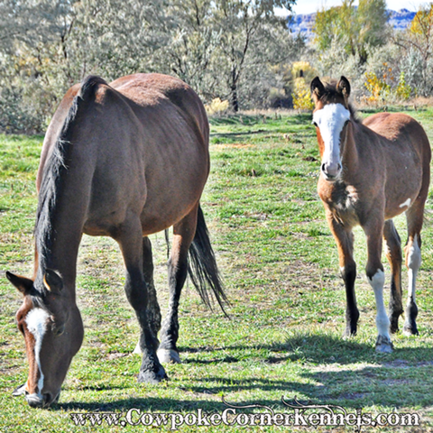 Bobby-Sue-and-baby 0698