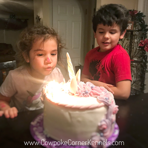 Dahlia's-Birthday 4223