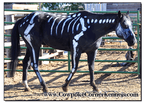 Diablo-the-haunted 0418