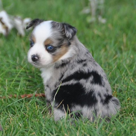 DSC_1249 - Version 2