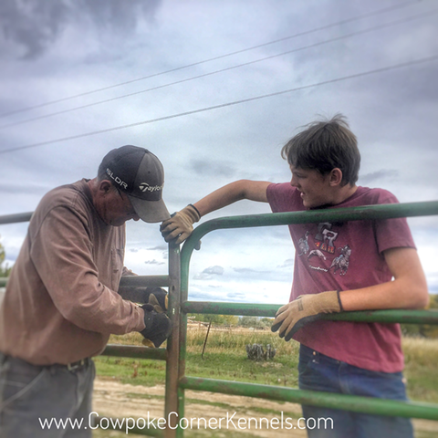 Fencing-crew-at-cowpoke-corner E9852