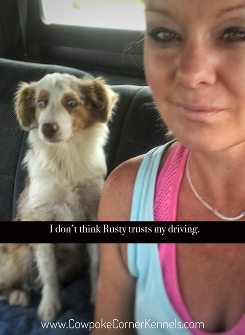 I-don't-think-Ruysty-trusts-my-driving 9008