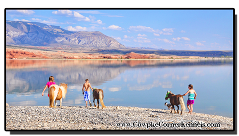 Ponies-at-big-horn-lake