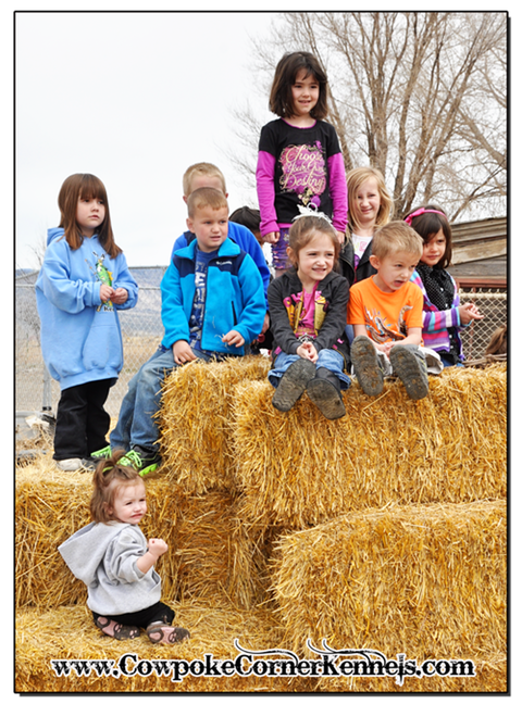 PreK-Farm-visit 0940