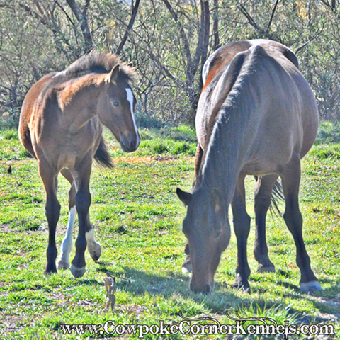 Pretty-woman-and-Baby 0680