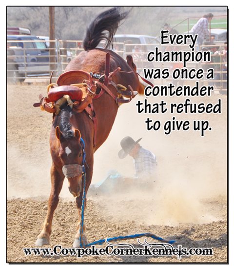 Rodeo-Champion-never-give-up 0361