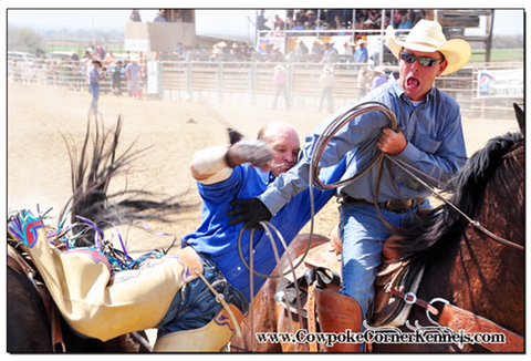 Shadow-Bareback-horse 0298