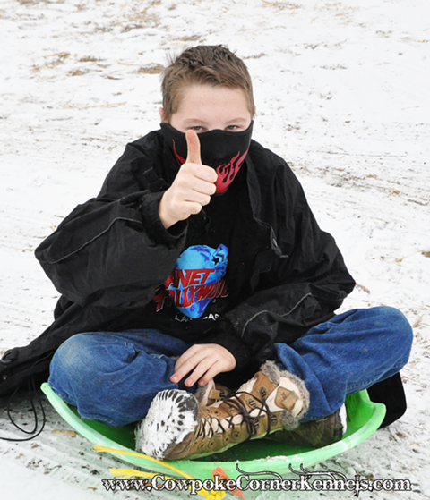 SLEDDING-BARNYARD-STYLE 0285