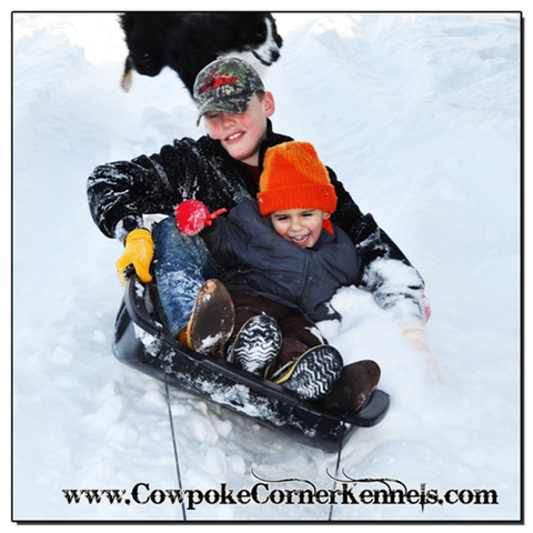 Sledding 0034