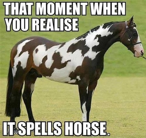 spells horse