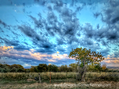 Wyoming-skies-at-cowpoke-corner E9965