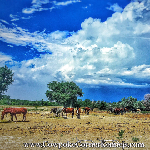 Wyoming-skies 6519