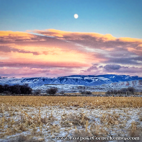 Wyoming-skies 8790