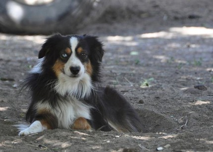 579319 510279032329345 1507624427 n