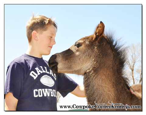 Its-my-party-filly 0095