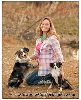 Wyoming-Miniature-Australian-Shepherds